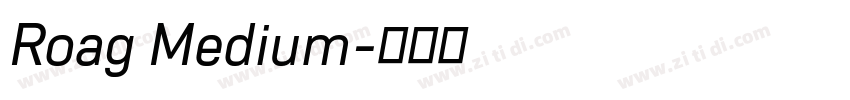 Roag Medium字体转换